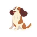 Cão