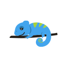 NAC