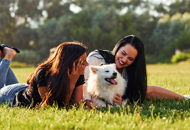 Primeiro destino online dedicado à compra de produtos veterinários
